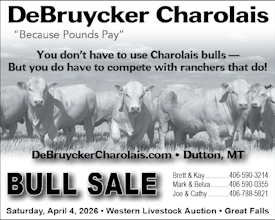 DeBruycker Charolais - BULL SALE